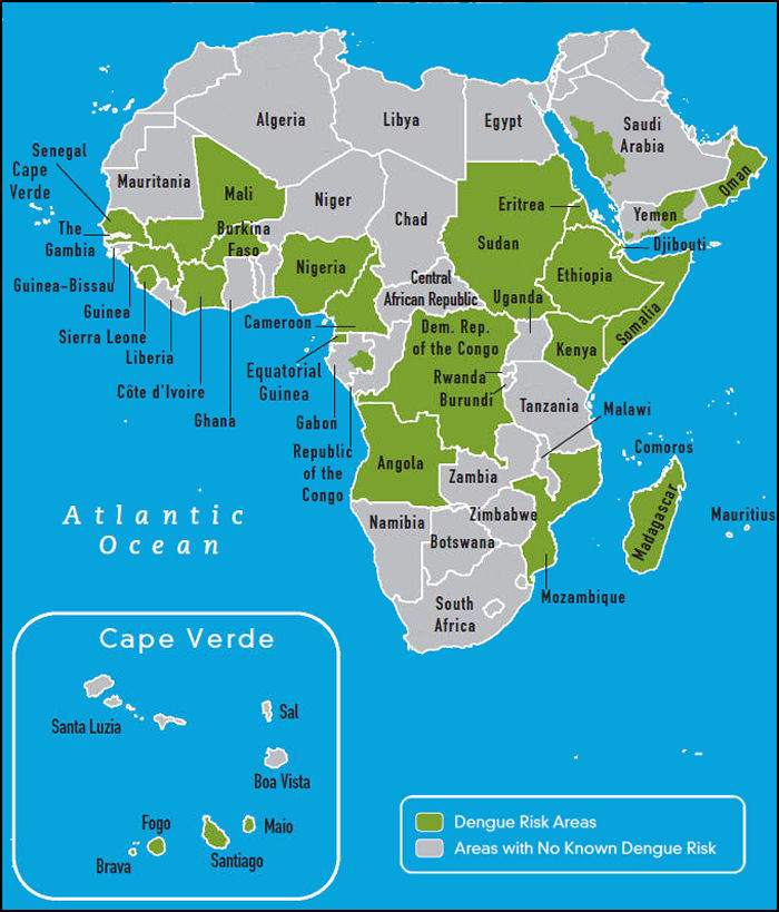 Vacunas en África: Malaria, Fiebre amarilla, Tifus, Cólera…. - Foro África