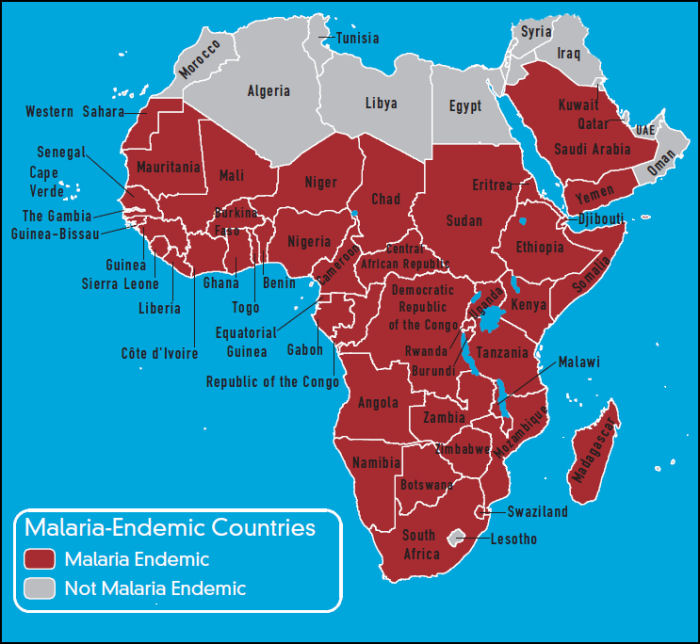 Malaria In Africa 14