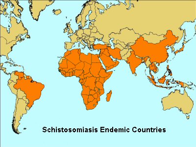 schistosomiasis vietnam)