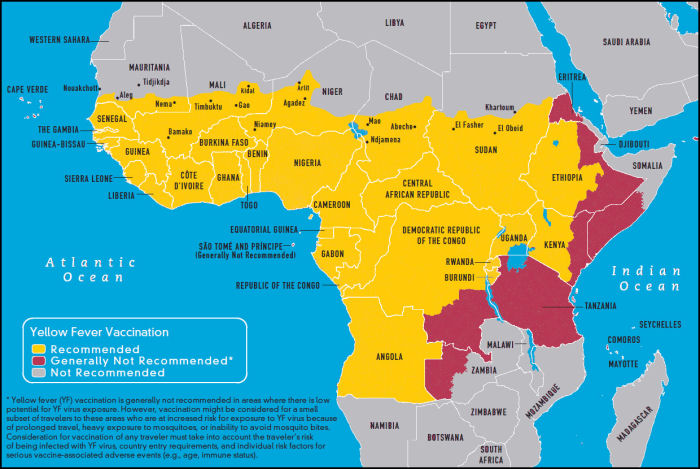 Vacunas en África: Malaria, Fiebre amarilla, Tifus, Cólera…. - Forum Africa