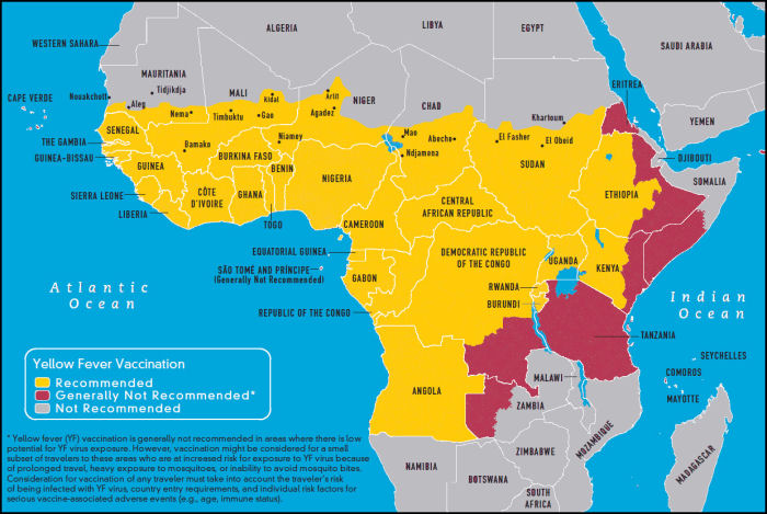 Vacunas en África: Malaria, Fiebre amarilla, Tifus, Cólera…. - Foro África